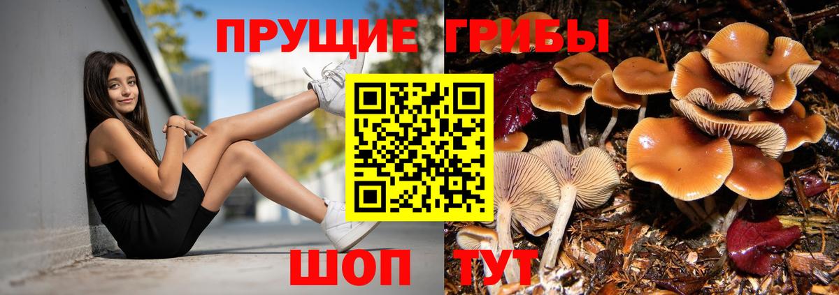 Галлюциногенные грибы мицелий Беслан